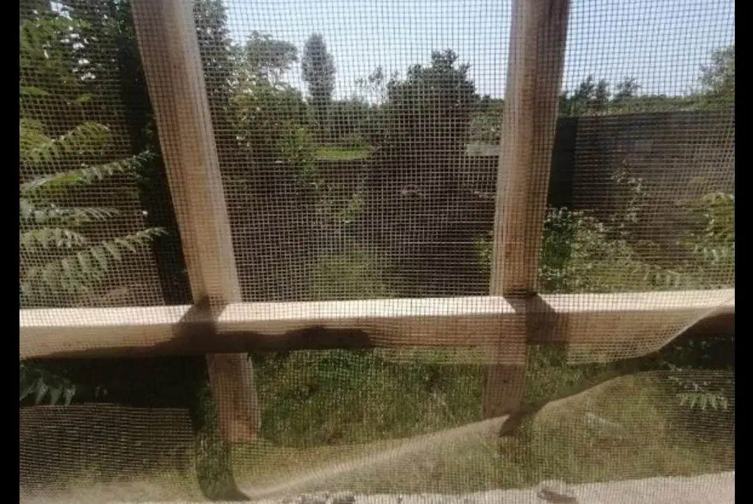 ویلا200 در لیسار|فروش خانه و ویلا|لیسار, |دیوار