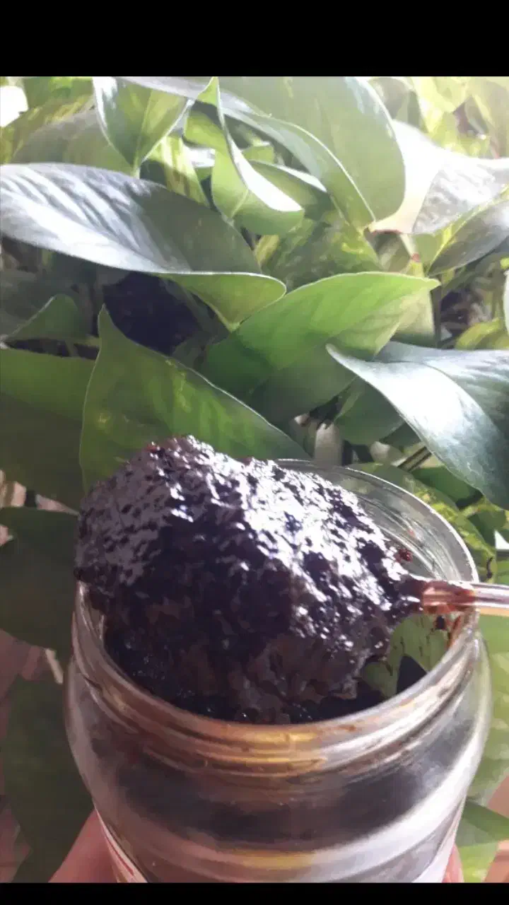 رب انار ترش وسیاه خانگی کیلویی ۸۰۰ تومان|خوردنی و آشامیدنی|خمام, |دیوار