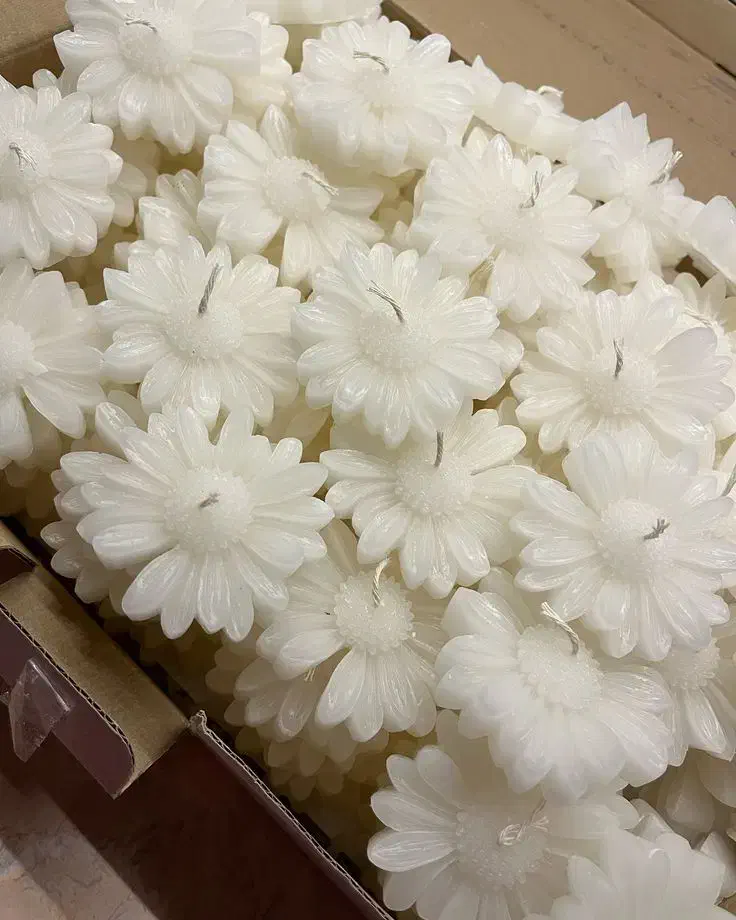 شمع بابونه هرعدد  ۲۵ت|صنایع دستی و سایر لوازم تزئینی|کامیاران, |دیوار