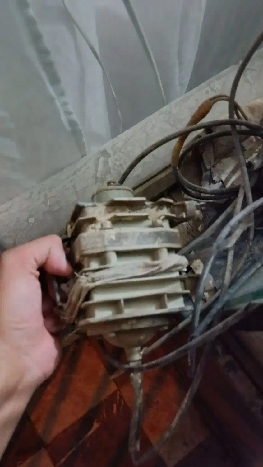 آکواریوم|ماهی|اصفهان, پوریای ولی|دیوار