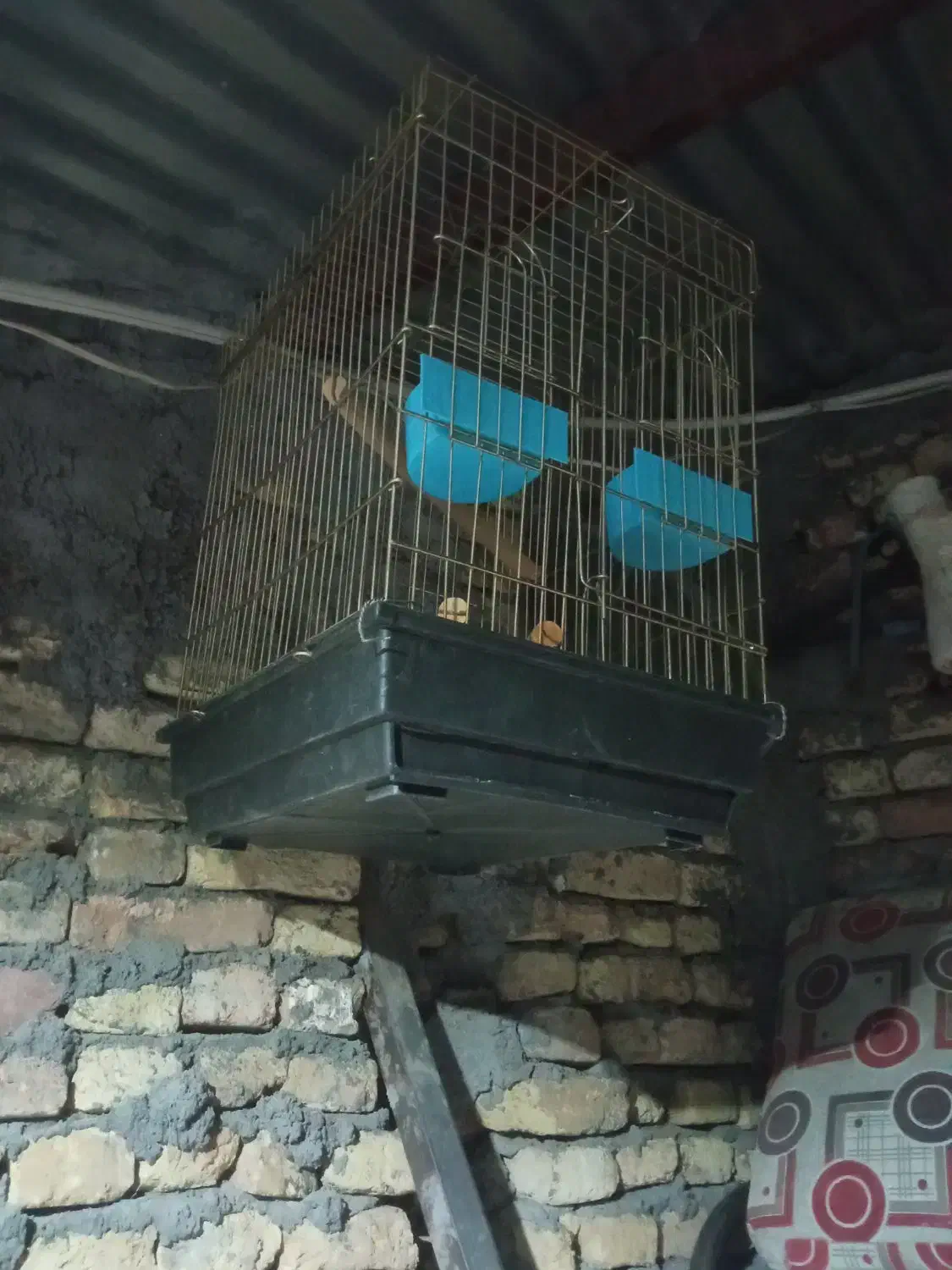 فروش قفسه پرنده|لوازم جانبی حیوانات|لاران, |دیوار