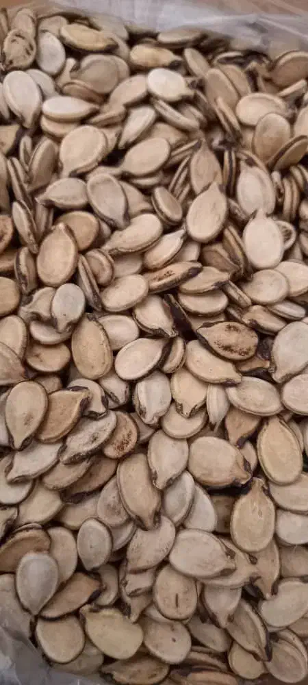 فروش درشیراز|خوردنی و آشامیدنی|شیراز, دست خضر|دیوار