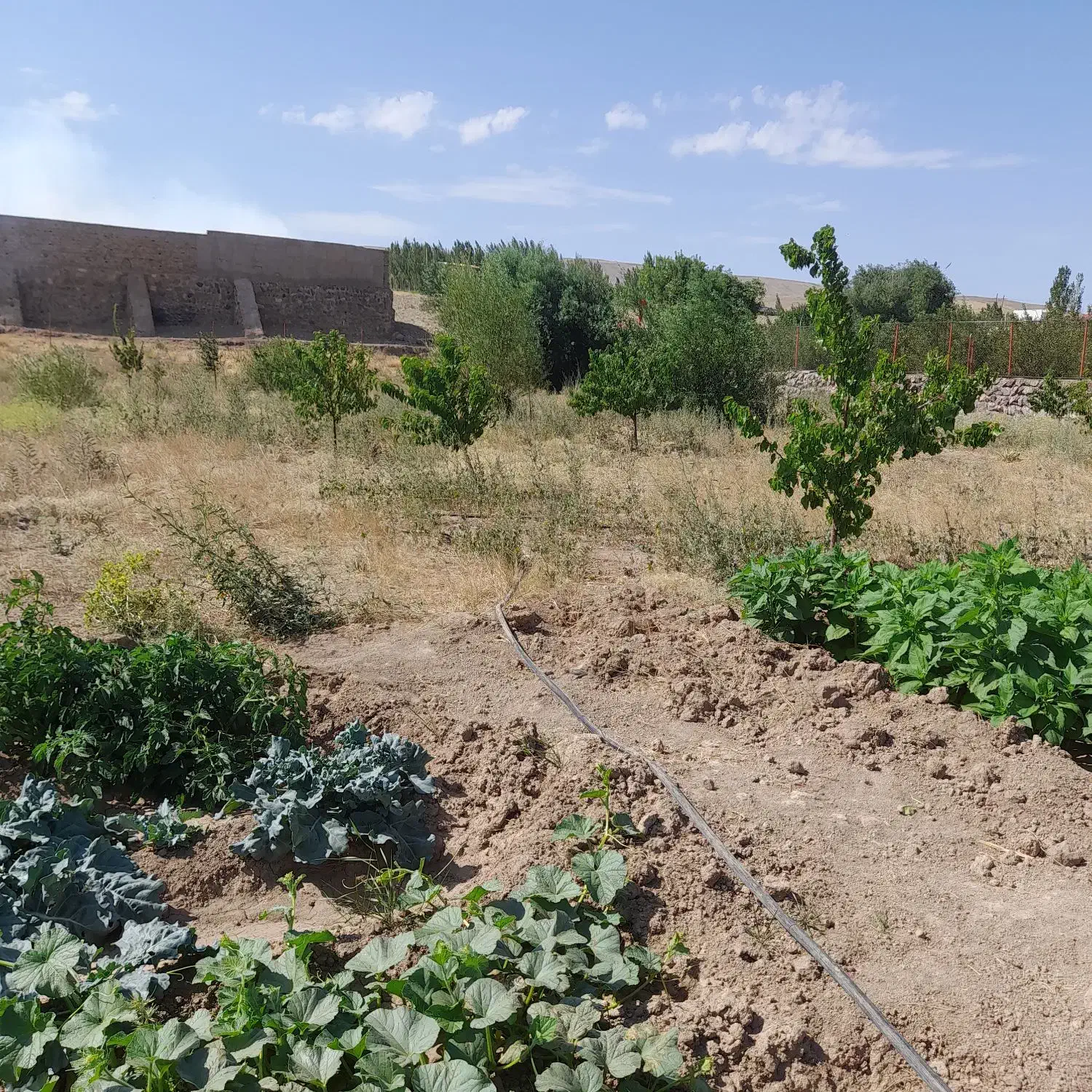 باغ جاده ورزقان|فروش دفتر صنعتی، کشاورزی، تجاری|خواجه, |دیوار