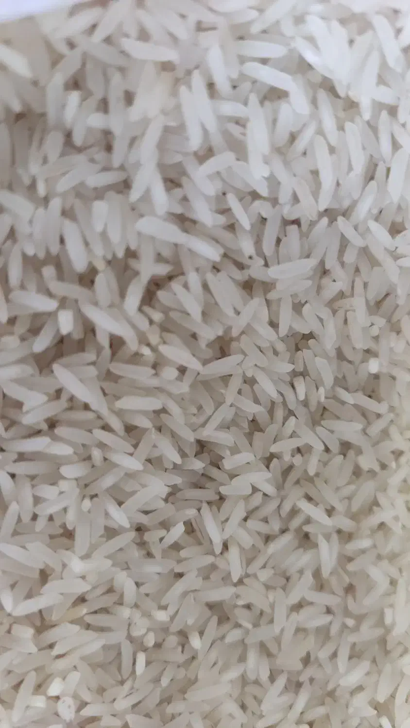 برنج فجر سوزنی|خوردنی و آشامیدنی|گالیکش, |دیوار