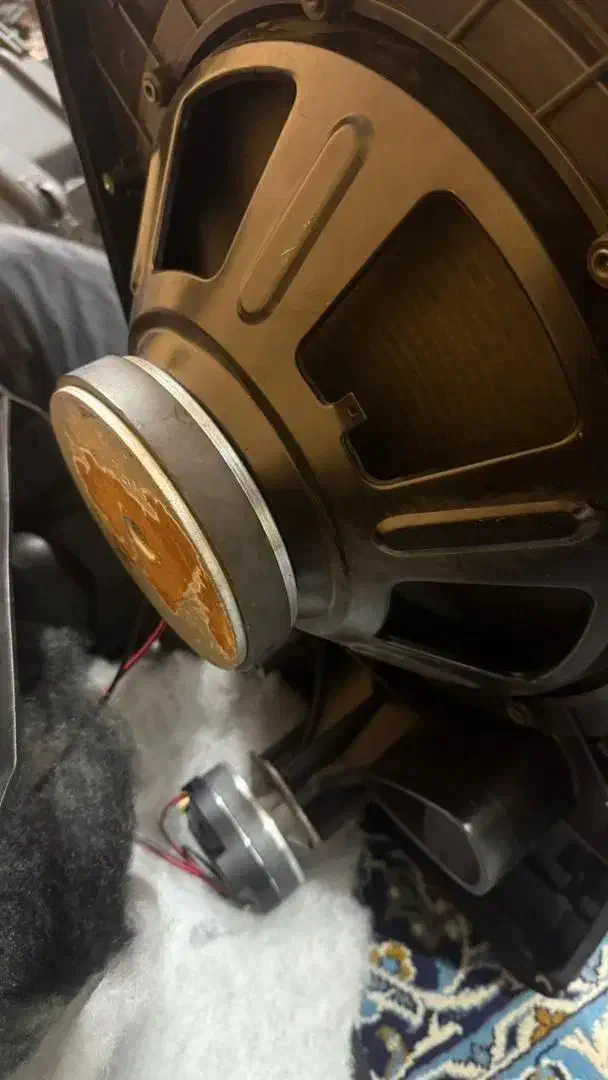 باند پسیو ۱۵ اینچ|سیستم صوتی خانگی|فردیس, داوری|دیوار