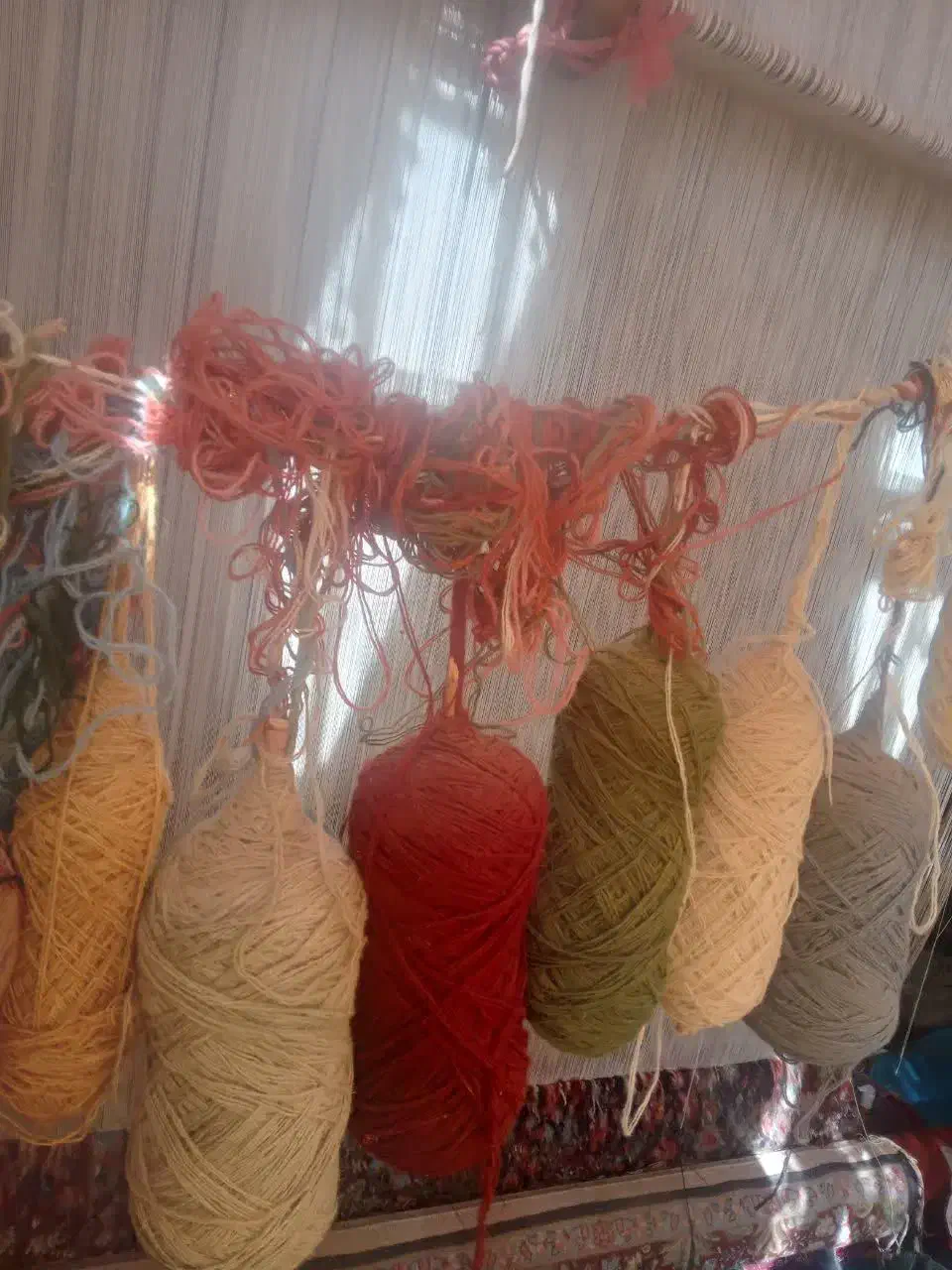 قالی دست بافت|فرش|رفسنجان, |دیوار