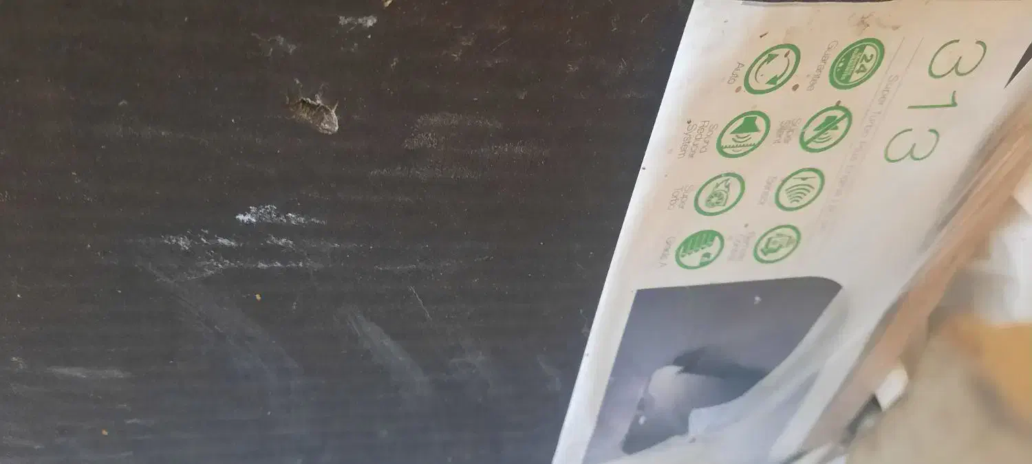 هود|هود|کاشمر, |دیوار