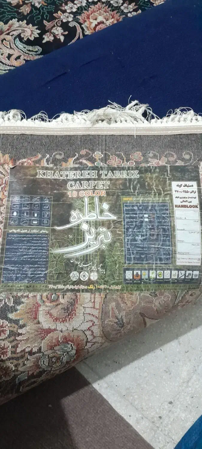 فرش ۱۲ متری|فرش|قم, نخودی|دیوار