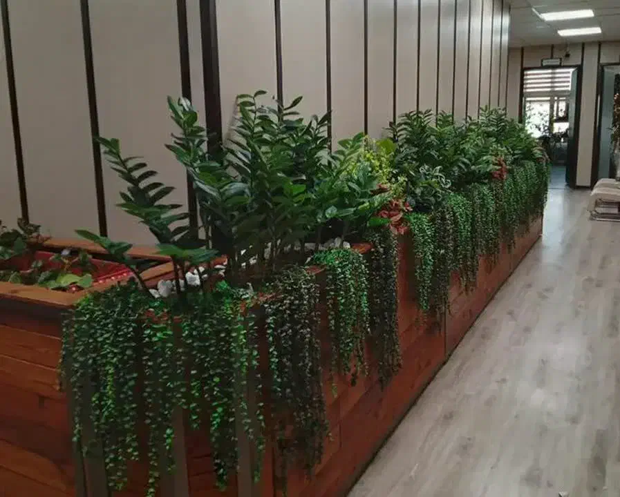 انواع درختچه و گل تزیینی و آویز|گل مصنوعی|ملایر, |دیوار