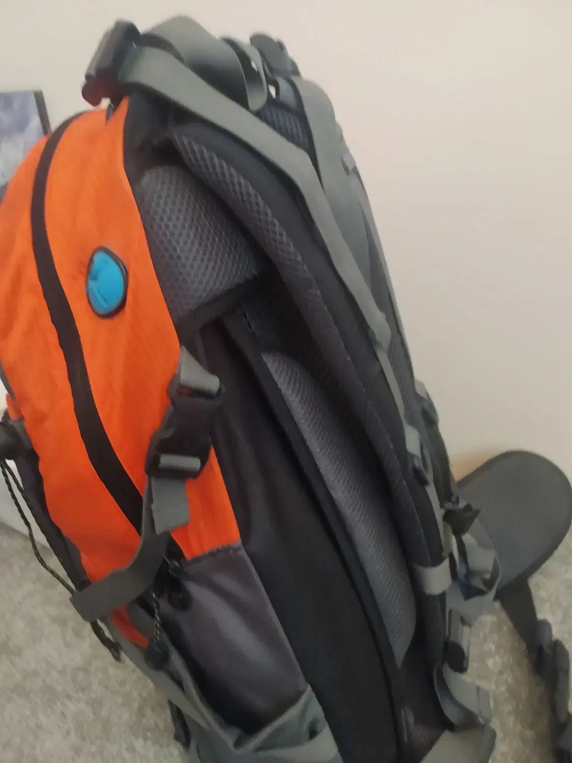 کیف مدرسه و کوهنوردی|کیف، کفش، کمربند|تبریز, |دیوار