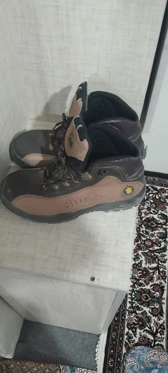 کفش ایمنی|کیف، کفش، کمربند|زنجان, |دیوار