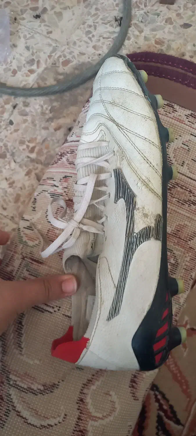 کفش استوک دار|کیف، کفش، کمربند|رامهرمز, |دیوار