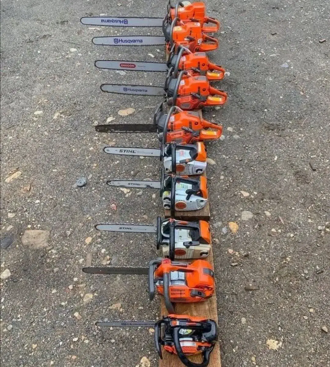 بریدن انواع درخت بااره موتوری|خدمات باغبانی و درختکاری|اردکان, |دیوار