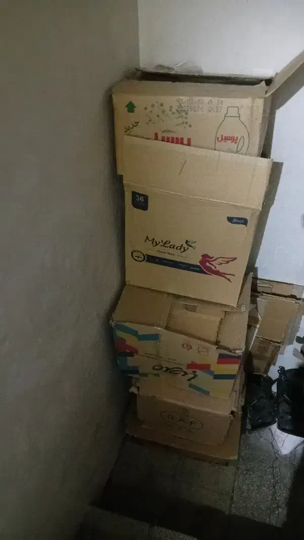 کارتن|ابزارآلات|تهران, آهنگ|دیوار