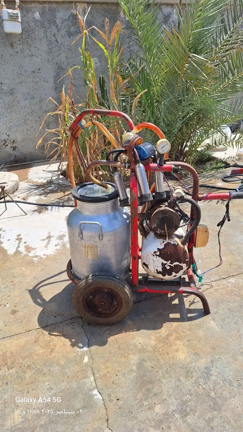 شیر دوش گاو تک واحد|ماشینآلات صنعتی|آبپخش, |دیوار