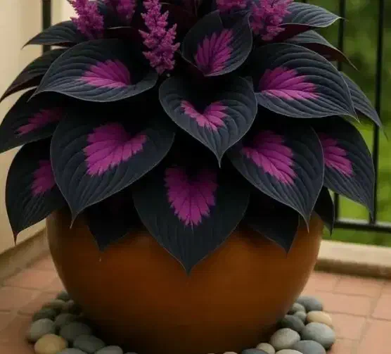 دوتا ضامن میخوام|خدمات مالی، حسابداری، بیمه|معصومیه, |دیوار