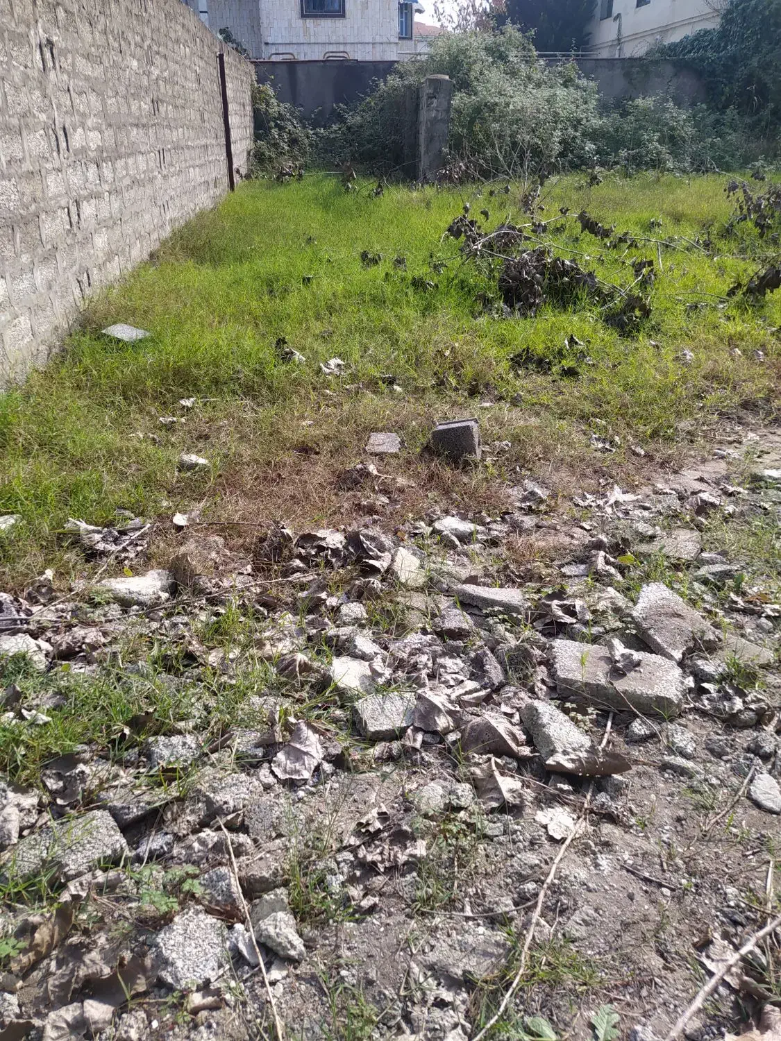 فروش زمین630 متری پلاک اول ساحل زیبای چمخاله|فروش زمین و ملک کلنگی|چاف و چمخاله, |دیوار