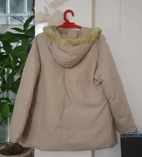 کاپشن بادی دخترونه|لباس|مشهد, نیزه|دیوار