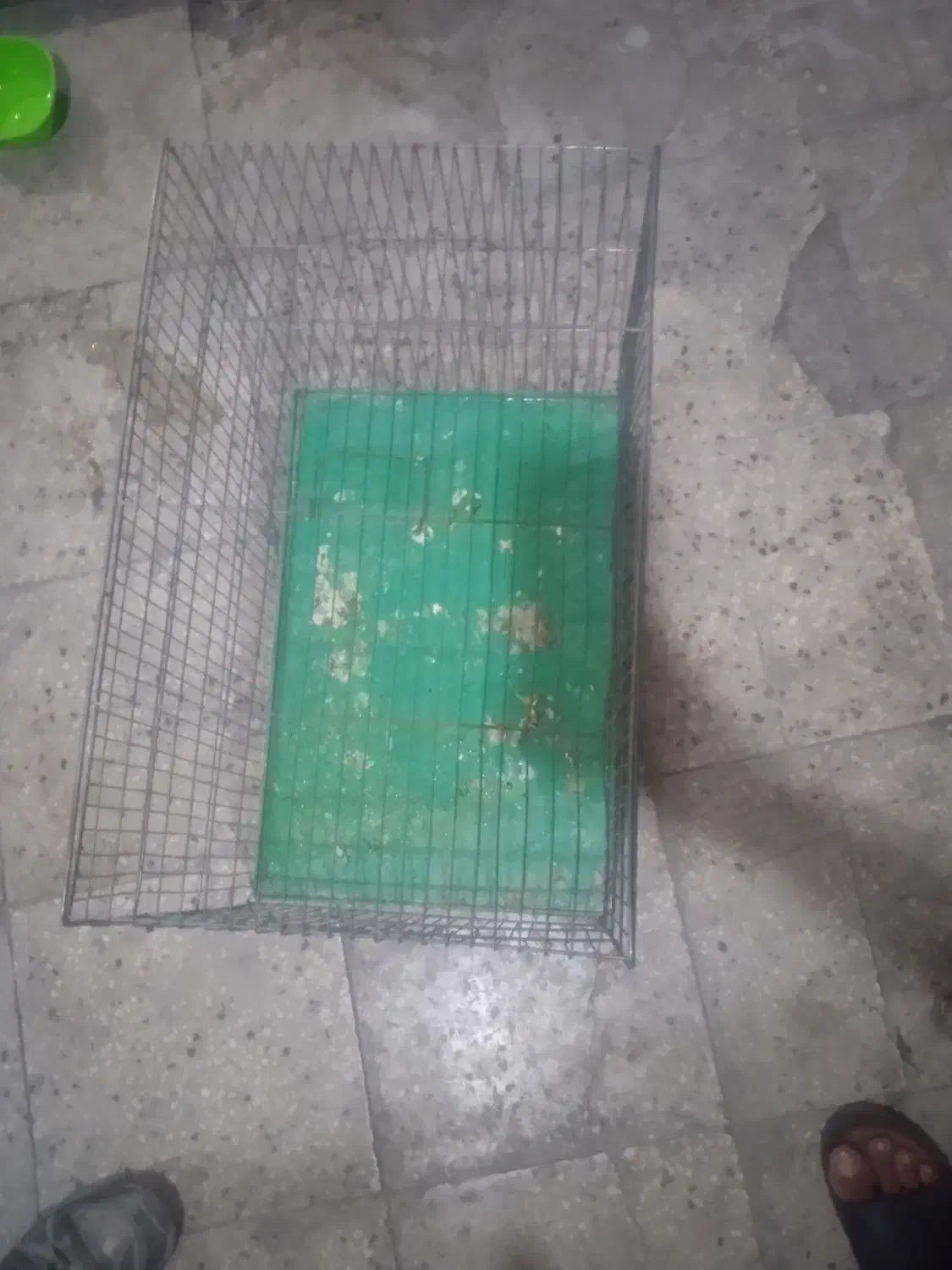 قفس فروش فوری|لوازم جانبی حیوانات|فسا, |دیوار