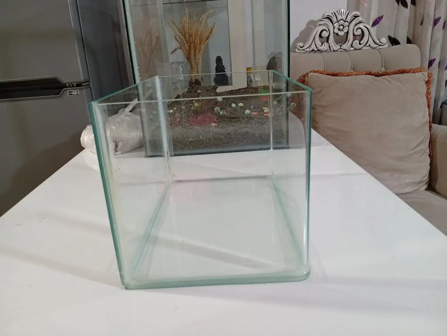 آکواریوم شیشه خم|ماهی|ارومیه, |دیوار