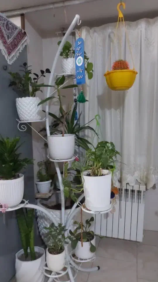 یسری وسایل خانه|تلویزیون و پروژکتور|پاکدشت, شهرک امام رضا|دیوار