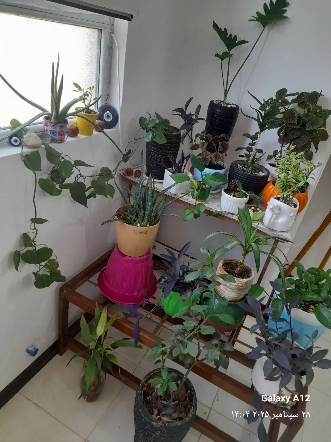 حراج وسایل|حراج|قم, شاه سید علی|دیوار