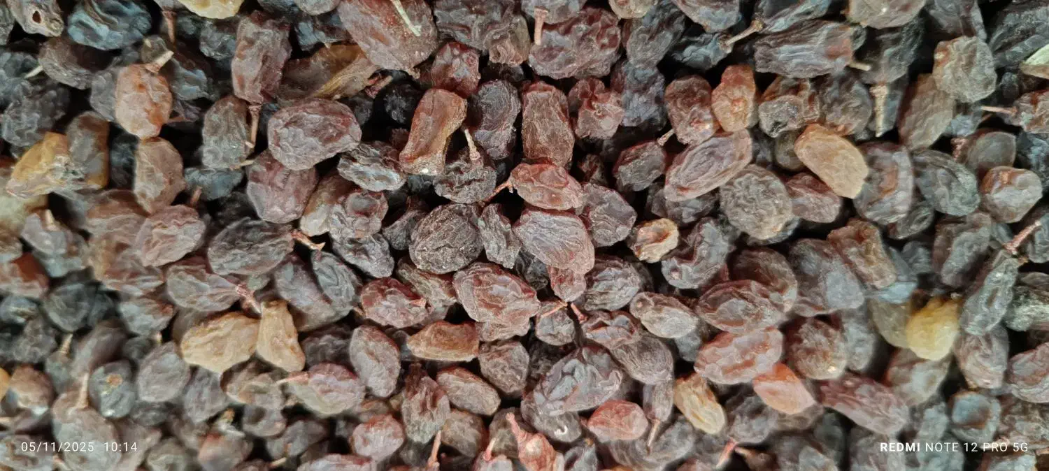 کشمش پلویی آفتاب خشک ومویز|خوردنی و آشامیدنی|کهریزک, |دیوار