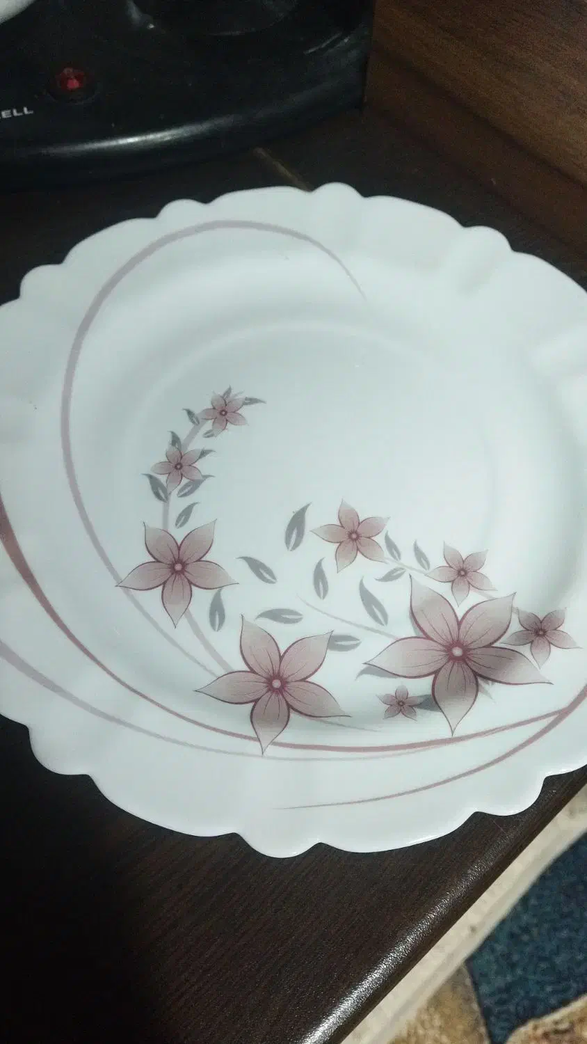 آرکوپال بسیارشیک|ظروف سرو و پذیرایی|بندر ماهشهر, |دیوار