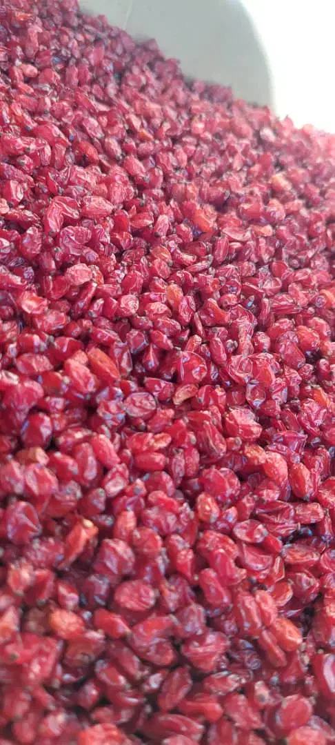 زرشک اناری درجه یک کیلویی 680|خوردنی و آشامیدنی|یاسوج, |دیوار