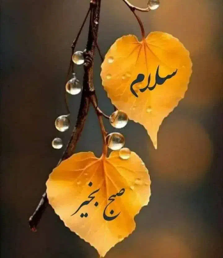 مدارک گمشده بنامه ابوالفضل روستا پیدا کردید اطلاع|اشیا|فیروزآباد (فارس), |دیوار