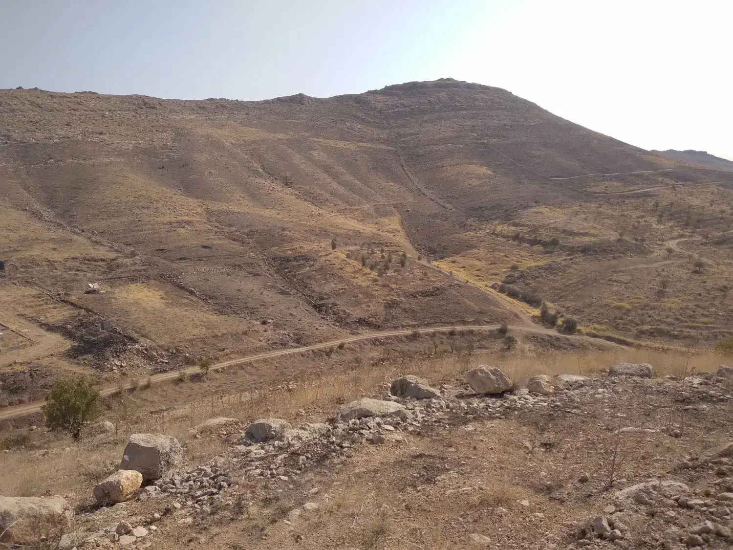 زمین باغچه ۱۰۰۰متری|فروش دفتر صنعتی، کشاورزی، تجاری|شیراز, داریون|دیوار