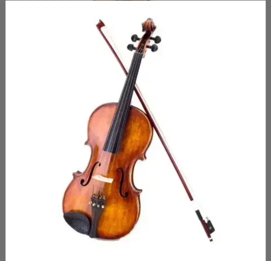 ویولن|ویولن|اصفهان, باغ زرشک|دیوار