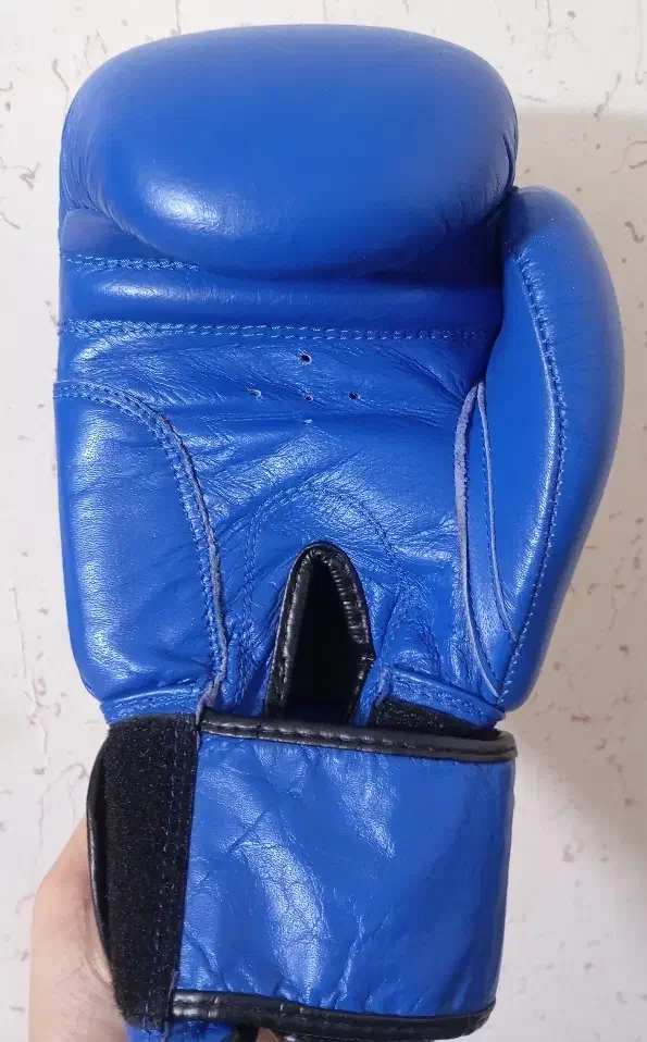 دستکش بوکس نو|تجهیزات ورزشی|سنندج, |دیوار