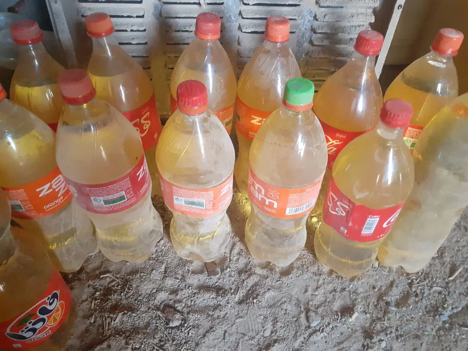 پلاستیک سالم|ظروف نگهدارنده، پلاستیکی، یک‌بارمصرف|هیرمند, |دیوار