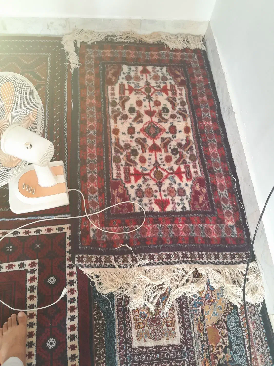 قالیچه|فرش|خواف, |دیوار