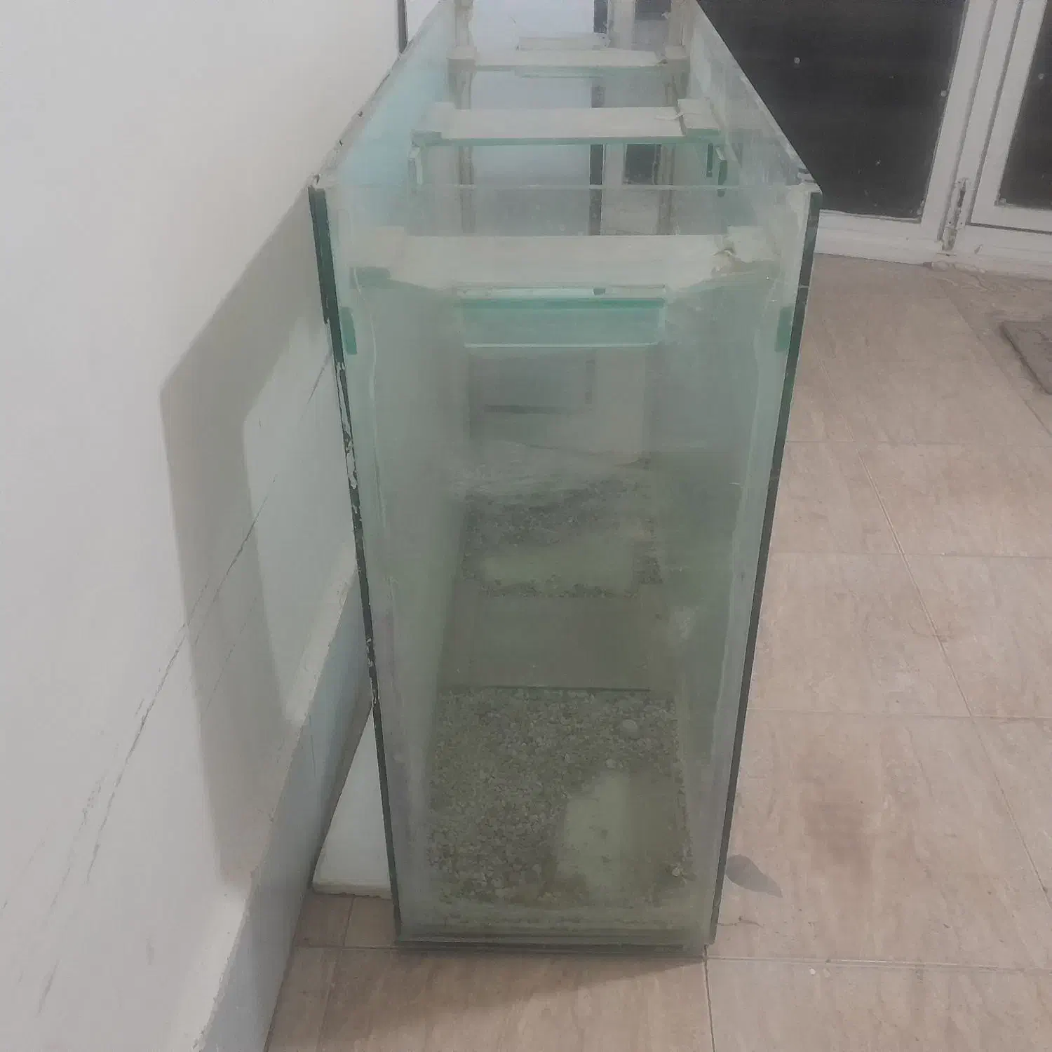 اکواریوم|ماهی|تربت‌حیدریه, پائین ولایت|دیوار