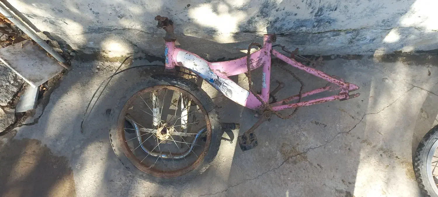 دوچرخه ۱۶|دوچرخه، اسکیت، اسکوتر|گنبد کاووس, |دیوار