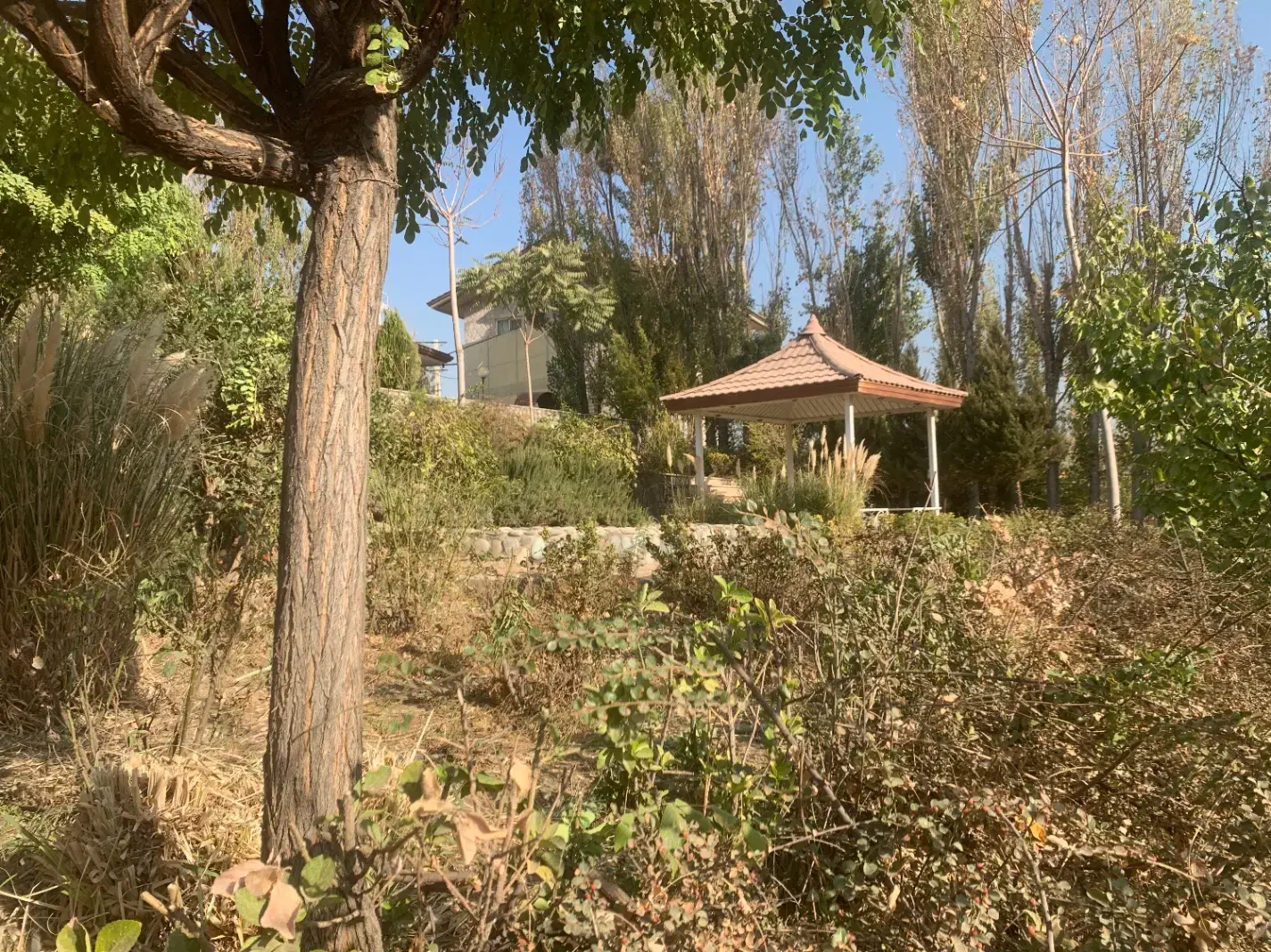 فروش باغ ویلا کردان|فروش خانه و ویلا|کوهسار (البرز), |دیوار