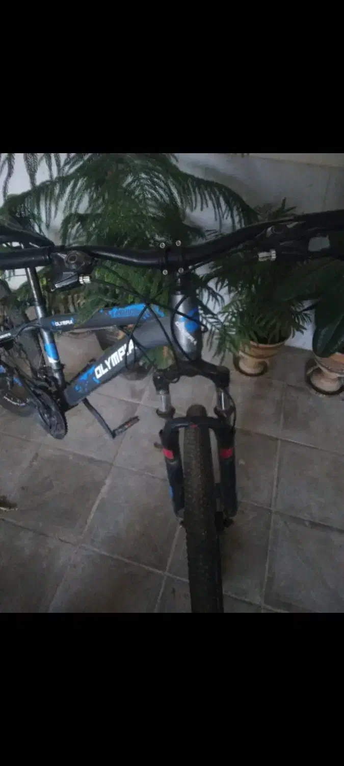 دوچرخه۲۴ المپیا اصل ،تمیز|دوچرخه، اسکیت، اسکوتر|نیریز, |دیوار