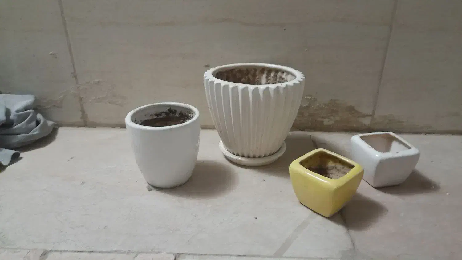 گلدان|گل و گیاه طبیعی|اصفهان, مهدی آباد|دیوار