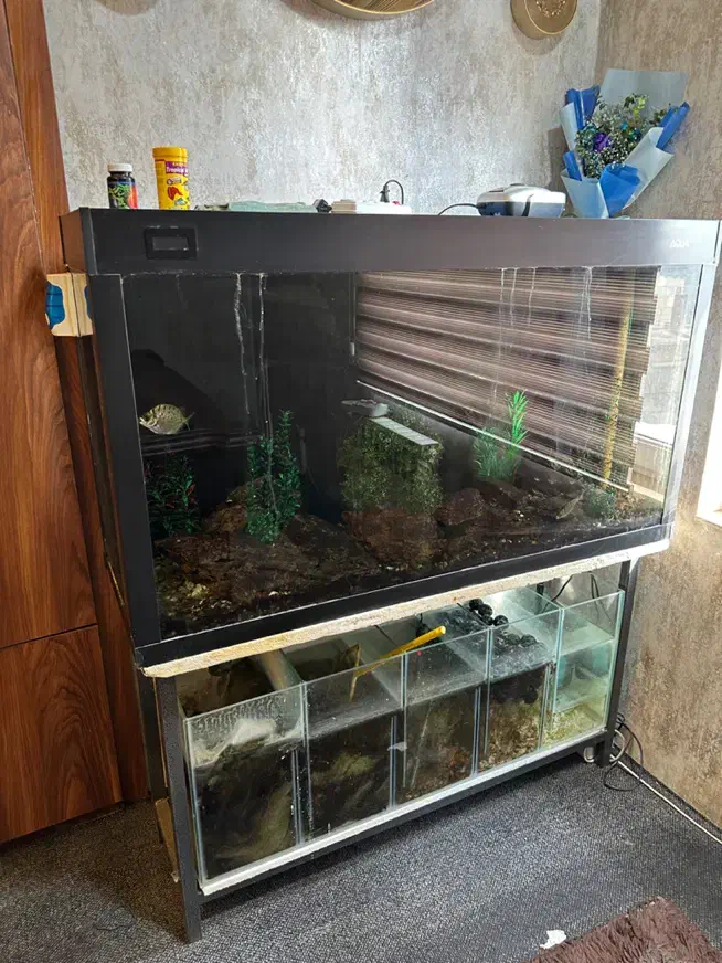 آکواریوم ۱/۲۰ دارای سمپ|ماهی|تبریز, |دیوار