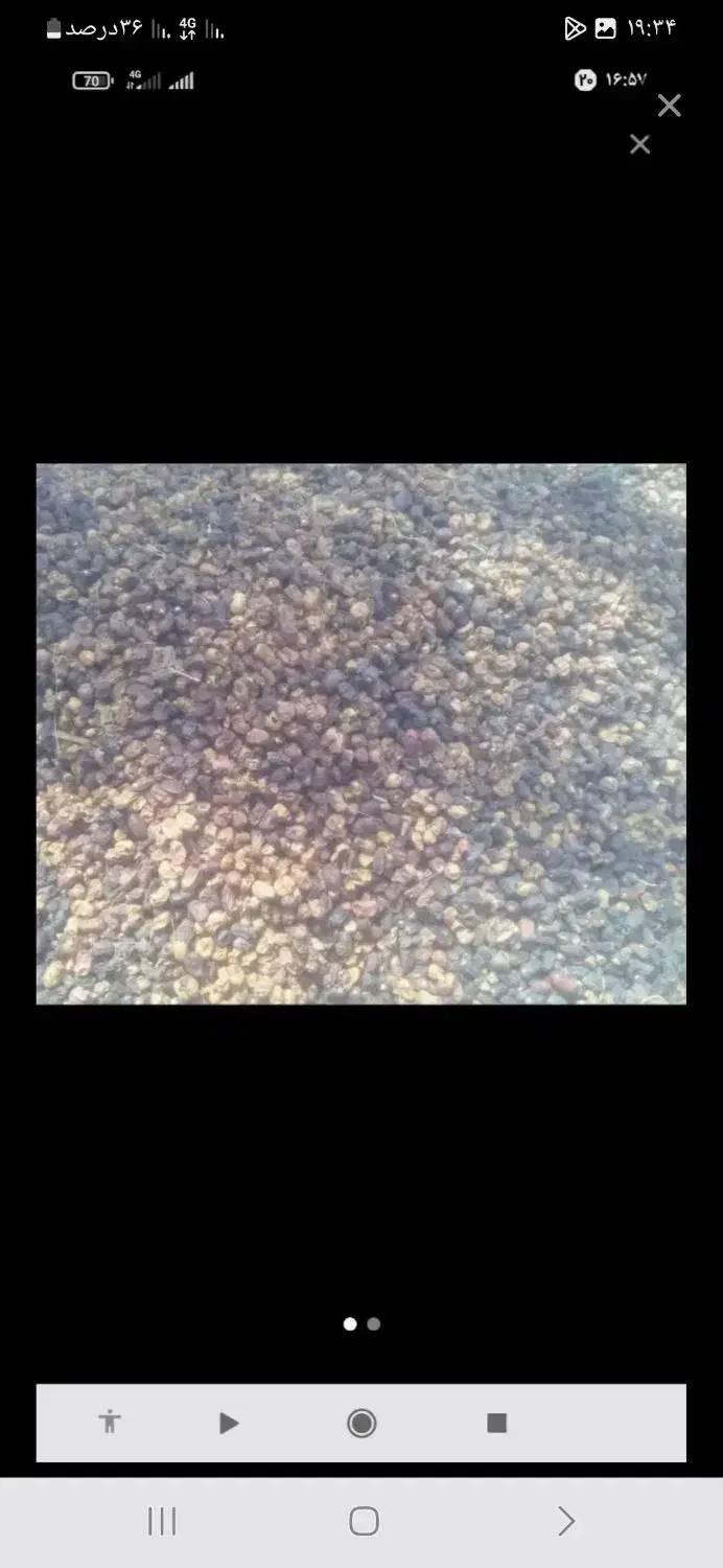 خرما کده|خوردنی و آشامیدنی|بم, |دیوار