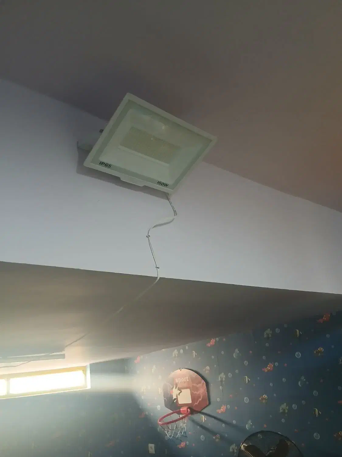 پروژکتور|تلویزیون و پروژکتور|فردیس, طالقانی|دیوار