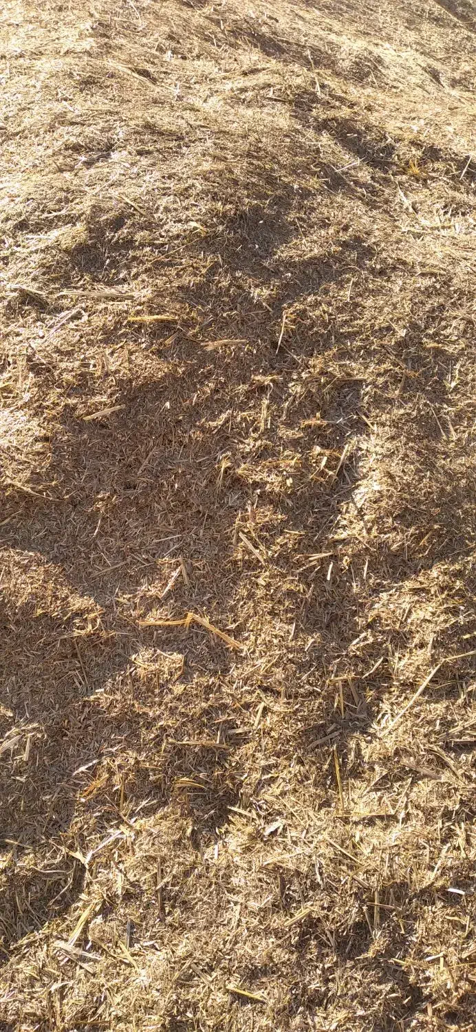 کاه گندم|عمده‌فروشی|قیدار, |دیوار