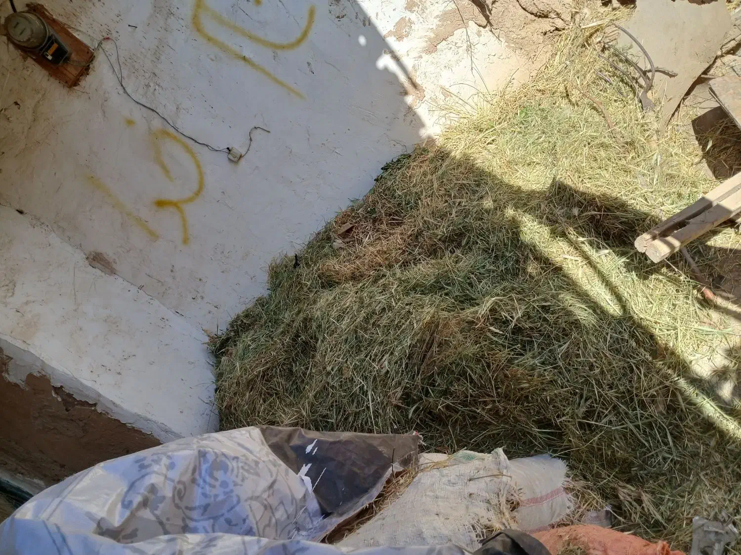 گیاه برای دامدار|حیوانات مزرعه|فیروزآباد (لرستان), |دیوار