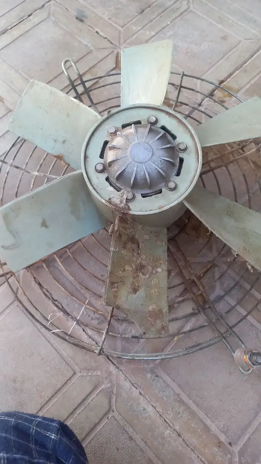 فن دور بالا|پنکه و تصفیهکنندهٔ هوا|کرمان, |دیوار