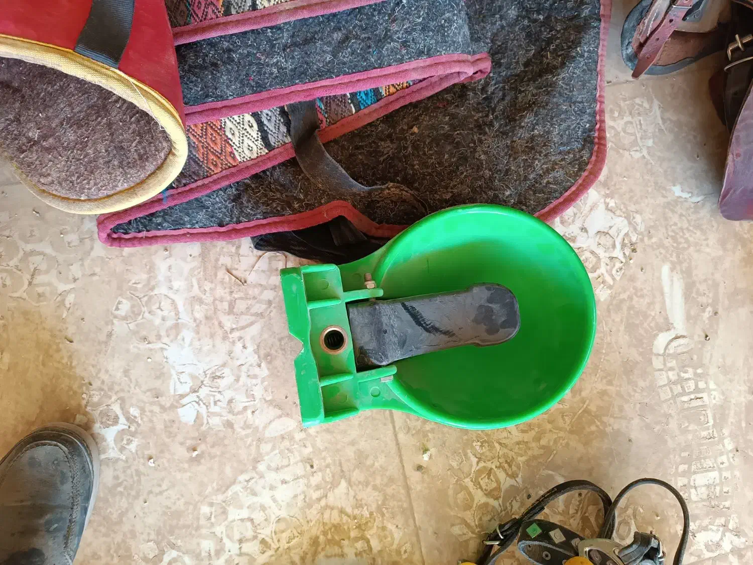 لوازم کامل سوارکاری|اسب و تجهیزات اسب‌سواری|میبد, |دیوار