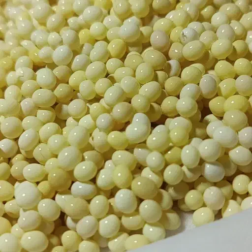 حلزون و خاویار حلزون|خزنده|شیراز, کرونی(خاتونک)|دیوار