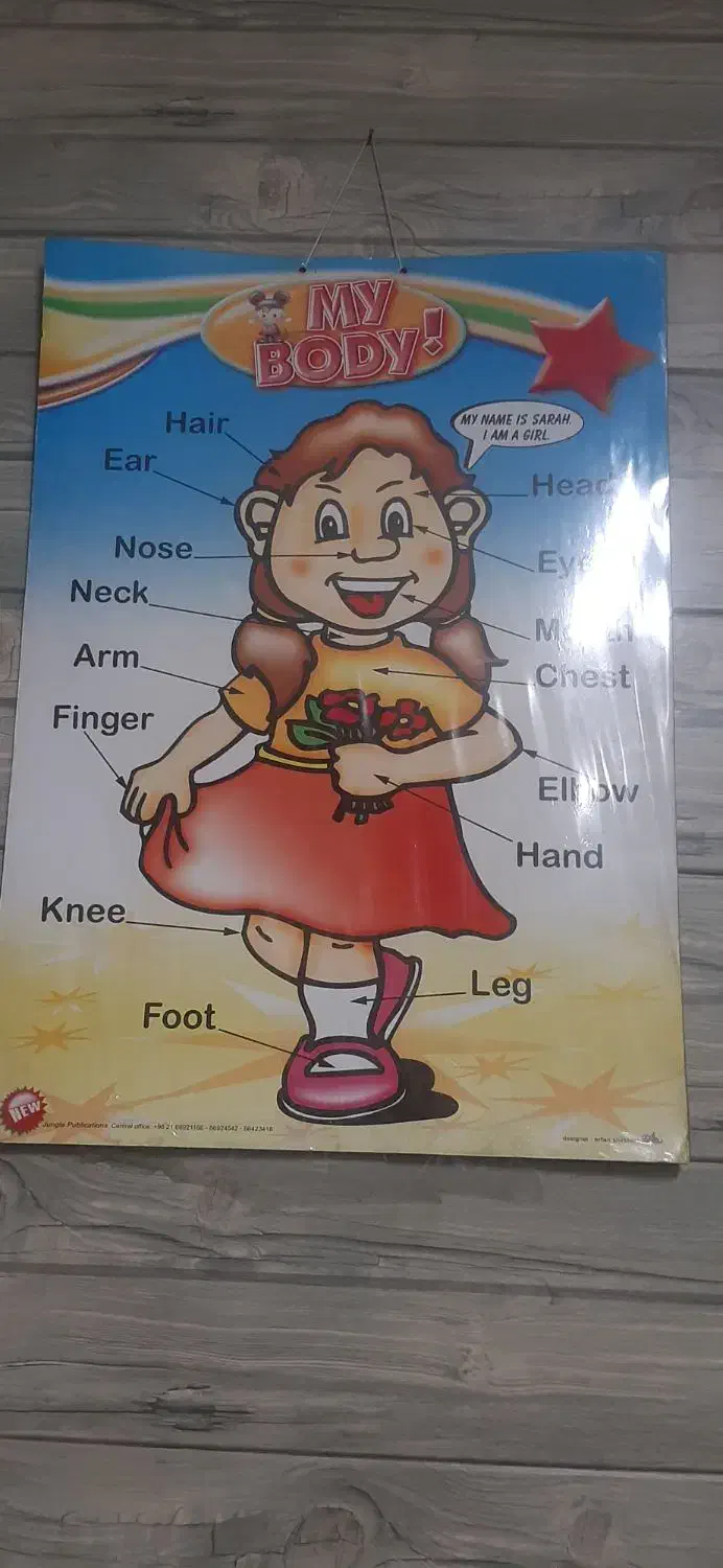 مدرس زبان انگلیسی خانم جهت تدریس در اموزشگاه|استخدام آموزشی|تهران, صد دستگاه|دیوار