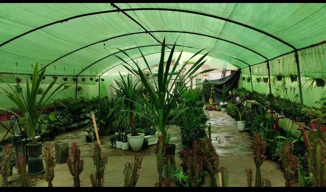 گلخانه با اتاق و حمام و دستشویی و...|اجارهٔ دفتر صنعتی، کشاورزی، تجاری|مشهد, سعد آباد|دیوار